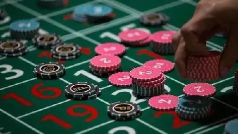 tg88 live casino